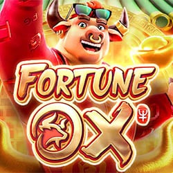 PIG PG ortune ox